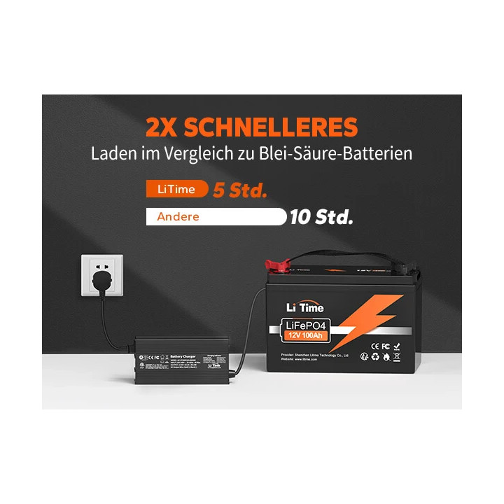Acumulator LiTime 12 V 100 Ah Basic LiFePO4