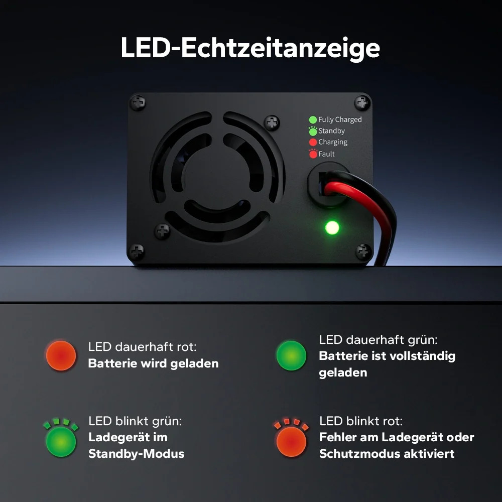 LiTime 12V 20A LiFePO4 Battery Charger