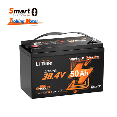 Acumulator LiTime LiFePO4 36 V 50 Ah Bluetooth Group 31