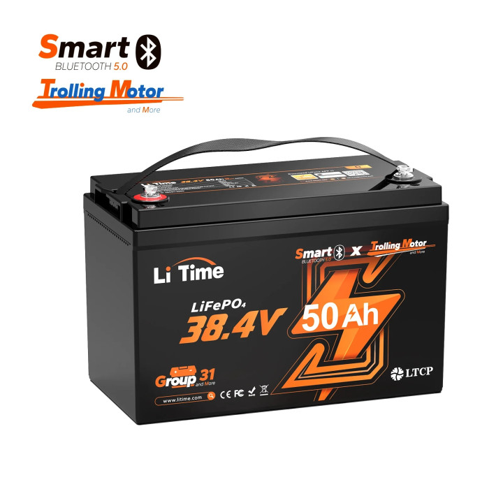 LiTime 36V 50Ah Bluetooth Group 31 LiFePO4 Battery